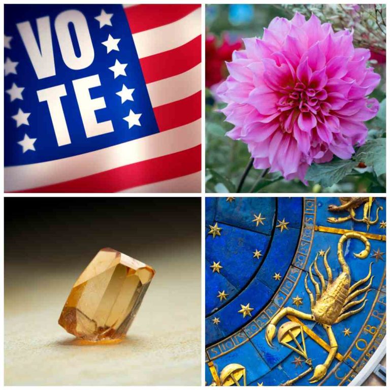What are the November National Days? – Get the Complete List to Find Out!