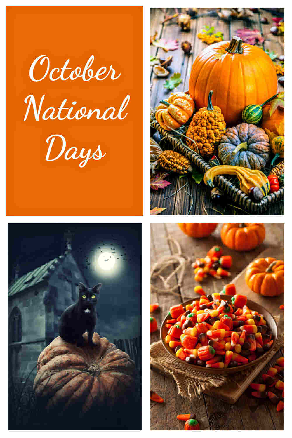 A collage of four rectangles- Starting with the top left and going clockwise they are an orange rectangle with white text reading October National Days, a basket of pumpkins for National Pumpkin Day, a black cat sitting on a pumpkin in the moonlight for National Black Cat Day, and a bowl of candy corn for National Candy Corn Day.