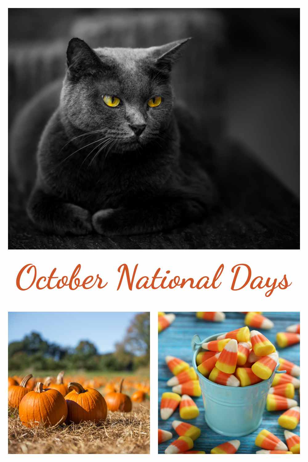 Let's Celebrate the National Days in October! Black cat, pumpkins and candy corn in a collage with words October National Days.