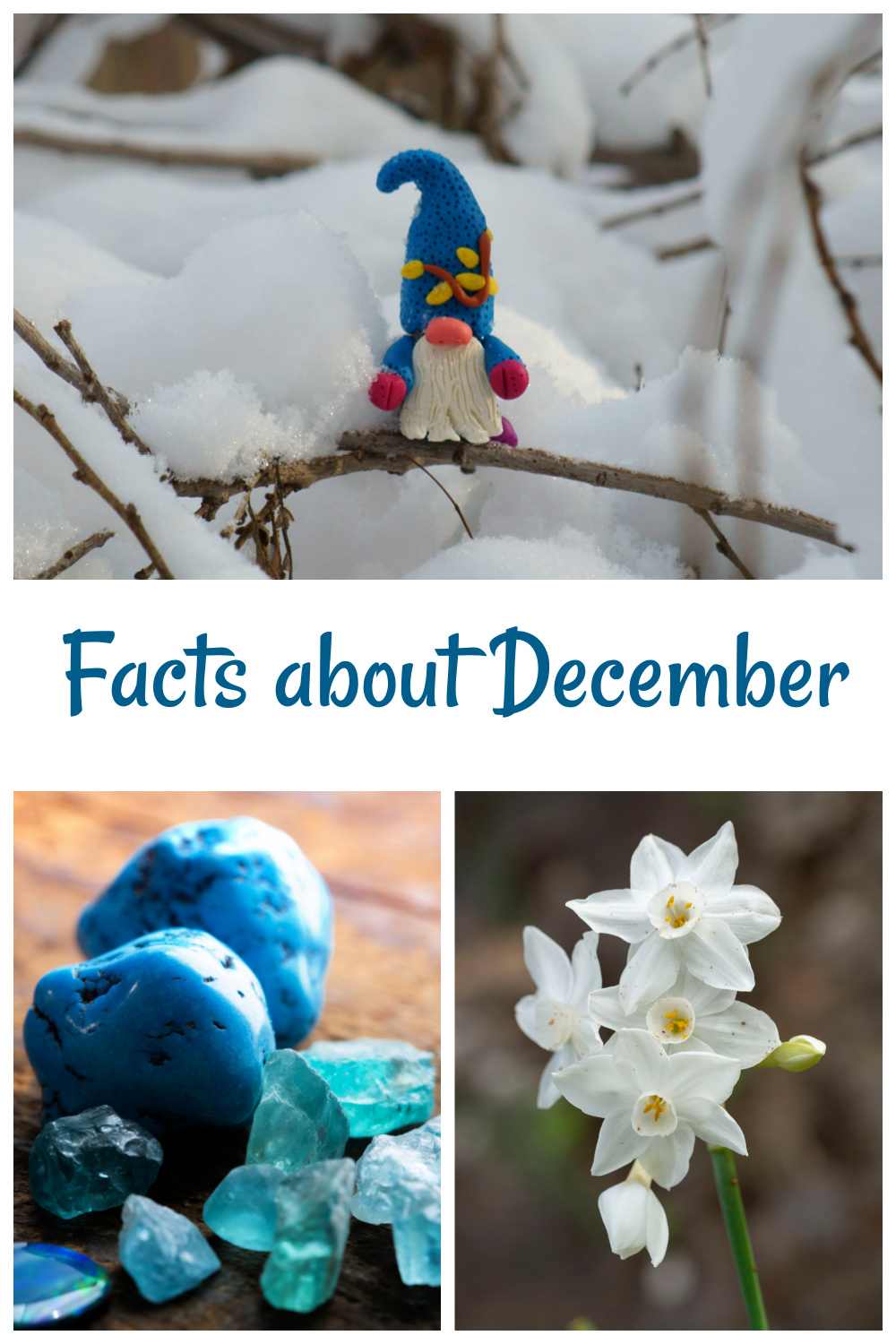 Do you love Trivia? Discover some Facts About December Elf in the snow, turquoise gemstones and narcissus images in a collage with words Facts about December.