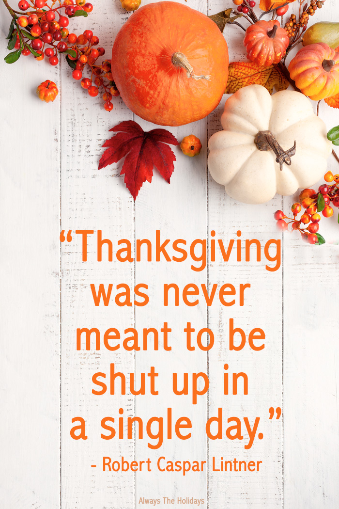 Thanksgiving pumpkins and leaves on a rustic white board with a text overlay reading “Thanksgiving was never meant to be shut up in a single day.”.