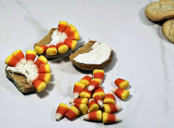 Using candy corn to make turkey feathers on frosted and trimmed sugar cookies.
