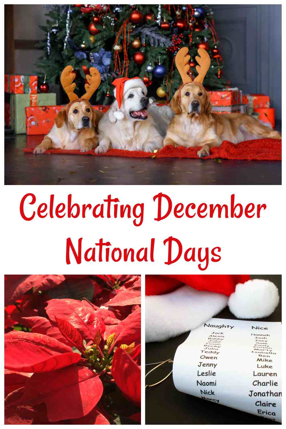 Celebrating December National Days Dogs dressed up for Christmas, poinsettia flower and Santa's nice and naughty list with words Celebrating December National Days.