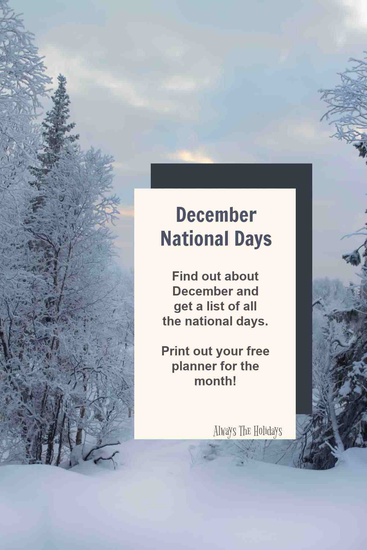 Learn About the December National Days