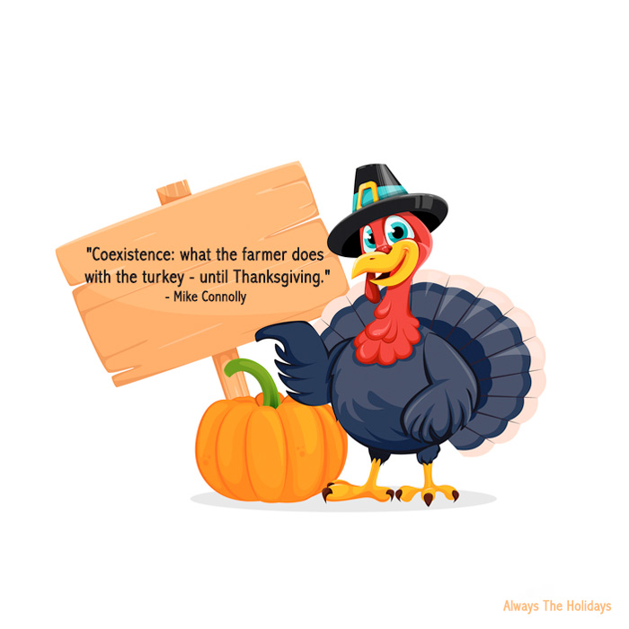 A turkey wearing a pilgrim hat holding a sign with a funny Thanksgiving sayings quote on it.