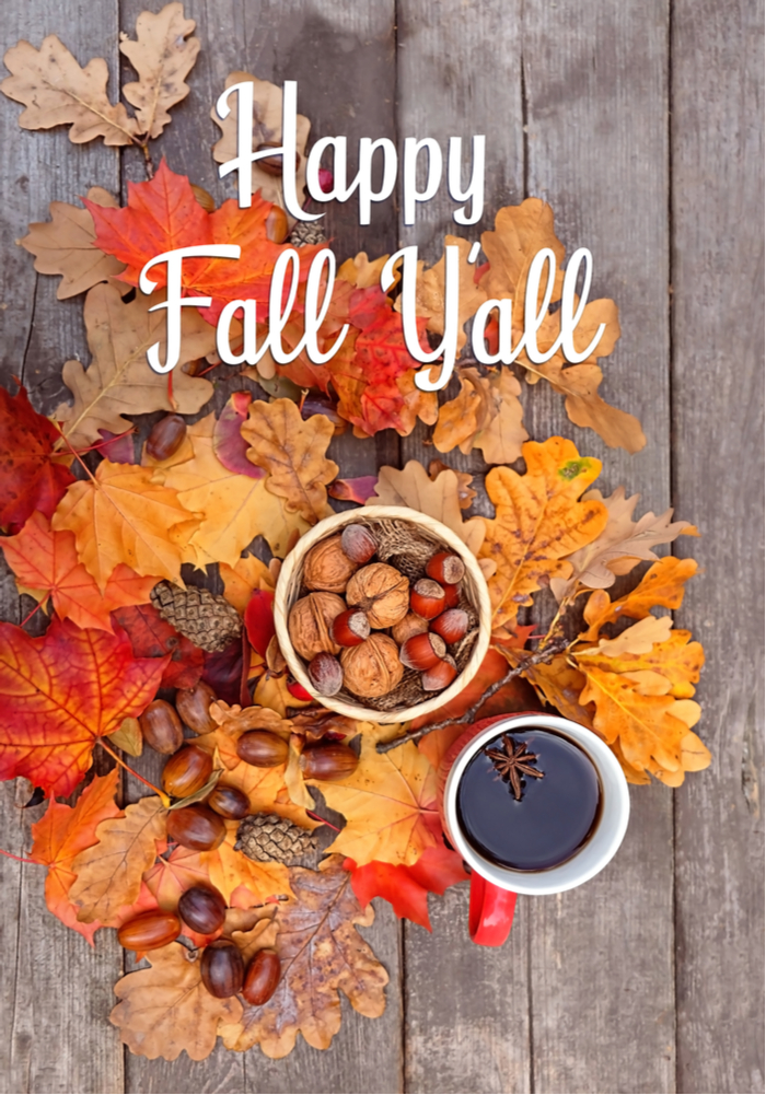 Autumnal leaves, acorns, and a cup of cider on wood with the quote "Happy Fall Yall" over it.