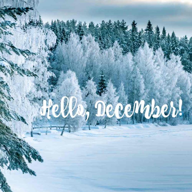 Winter scene with the words Hello December.