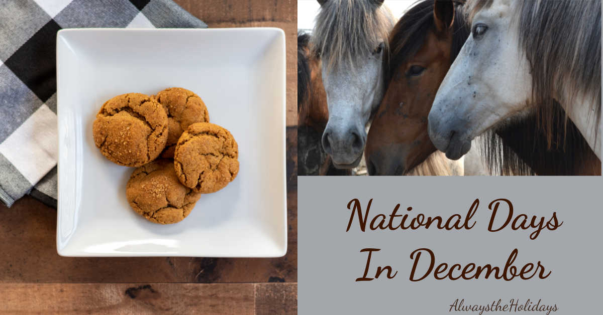 National Days in December Ginger snaps on a plate and three horses with words National Days in December.
