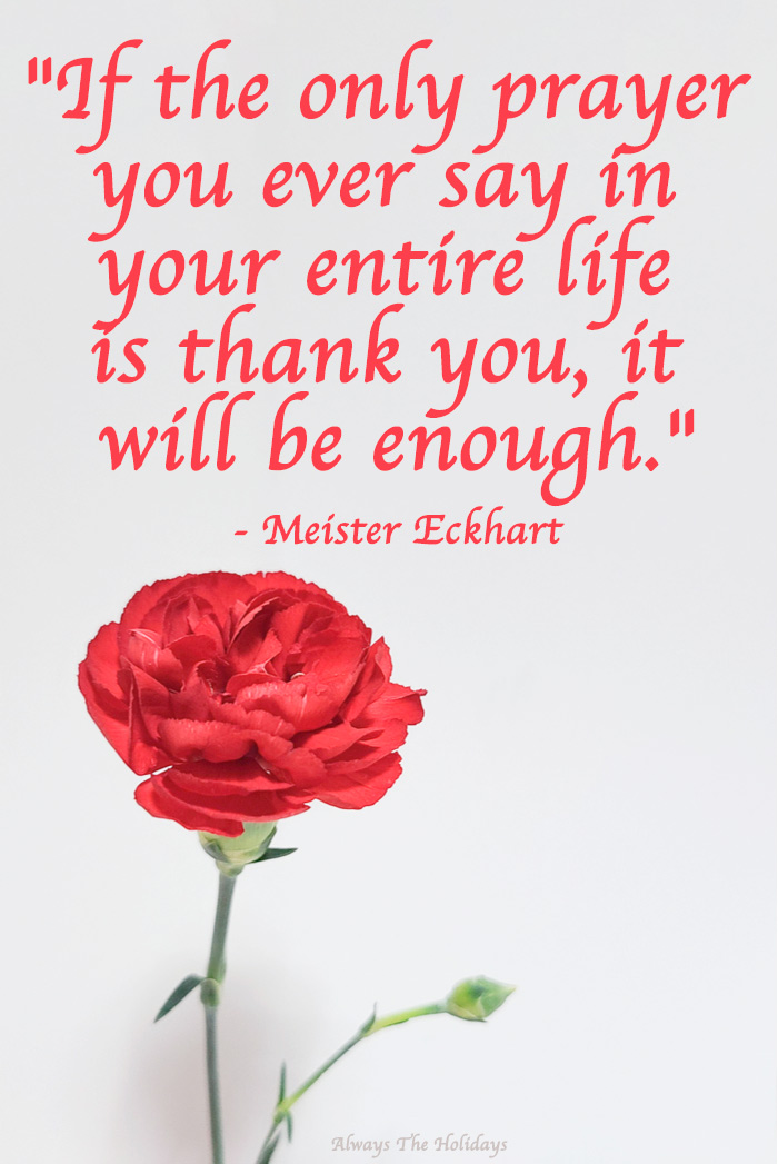 A prayer quote for Thanksgiving over a plain white background with a red carnation at the bottom.