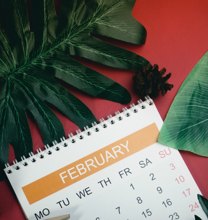 Calendar for February February calendar and leaves on a red background.