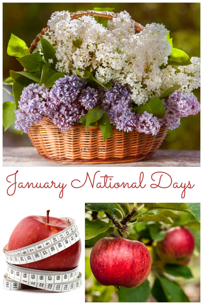 National Days of January. Flowers in a basket, apple with tape measure and apples in a tree with words reading "January National Days."