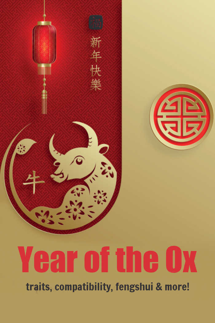 Gold bull on a red inset with words reading "Year of the Ox traits, compatibility, fengshui & more!"