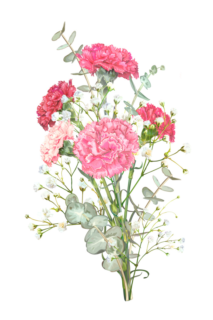 Drawing of a bouquet of carnations. Drawing of a bouquet of carnations for National Carnation Day.