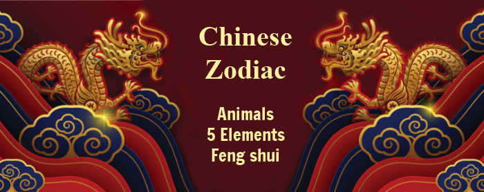 Banner for the Chinese Zodiac. Banner with dragons and words reading "Chinese Zodiac - animals, 5 elements and feng shui."
