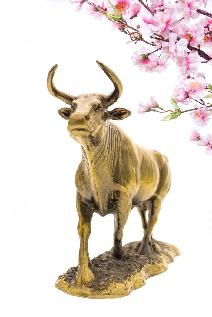 Gold ox with pink cherry blossoms.