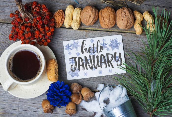 Hello January seasonal flatlay. A card that says "hello January" arranged with a cup of coffee, fir bough, nuts and cranberries to celebrate the national days in January.