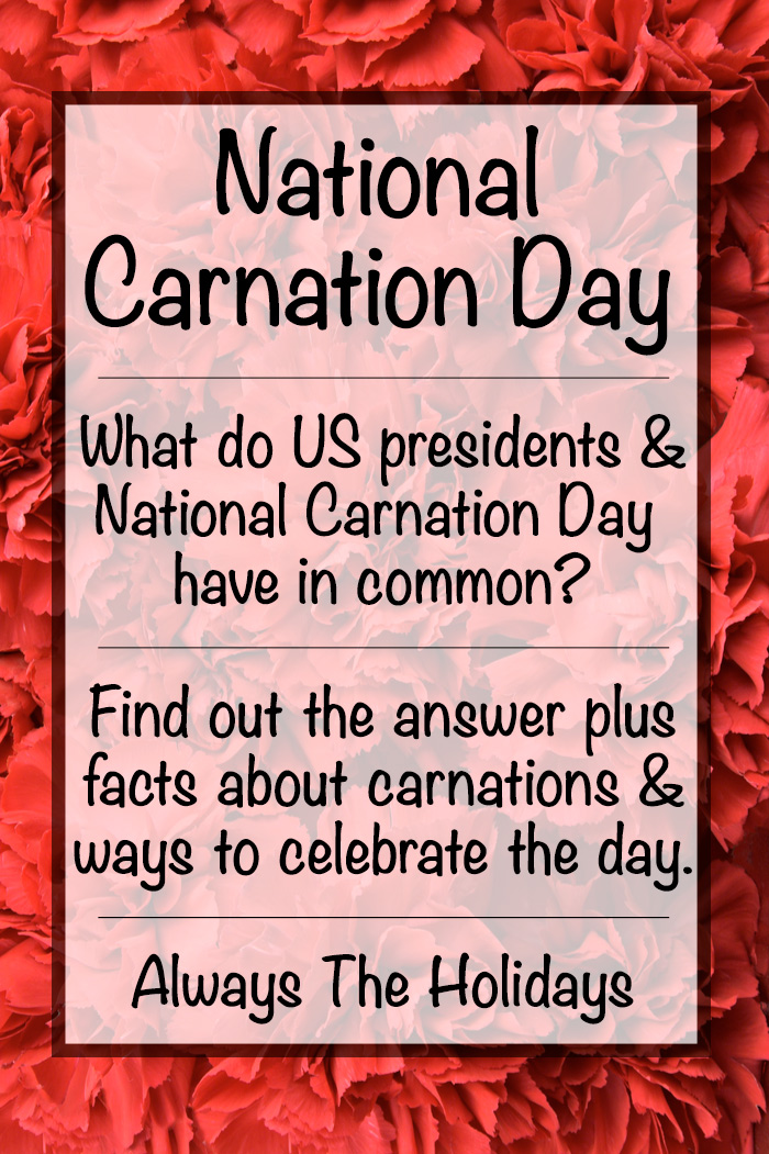 Red carnations with a text overlay for National Carnation Day. A photo of red carnations with a text overlay about National Carnation Day and carnation facts.