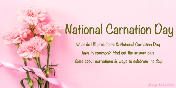 Pink carnations on a pink background with a National Carnation Day text overlay. Pink carnations on a pink background with a text overlay about National Carnation Day and carnation facts.
