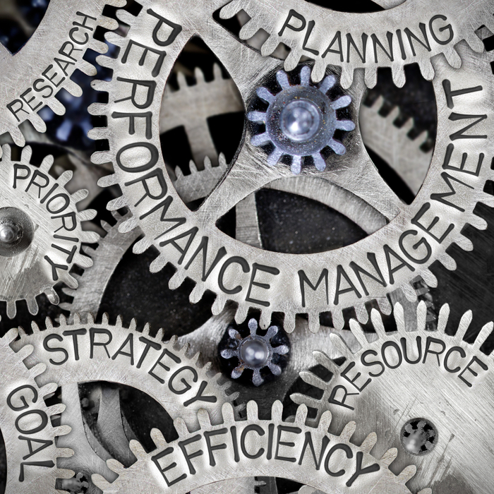 Gears with words needed to stick to New Year's resolutions on them.
