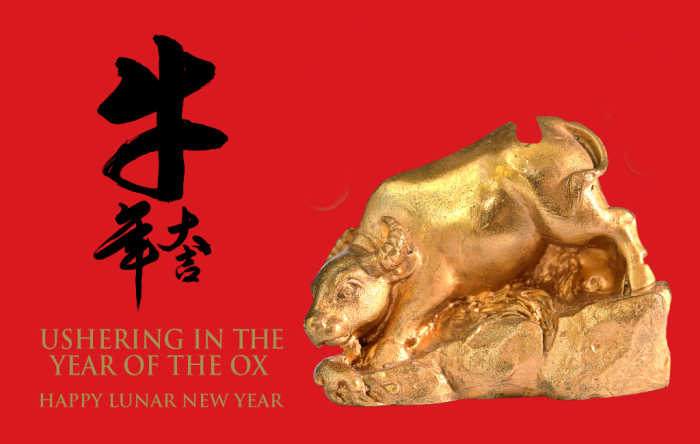 Gold ox on a red blackground with Chinese characters and words reading Year of the Ox - Happy Lunar New Year.