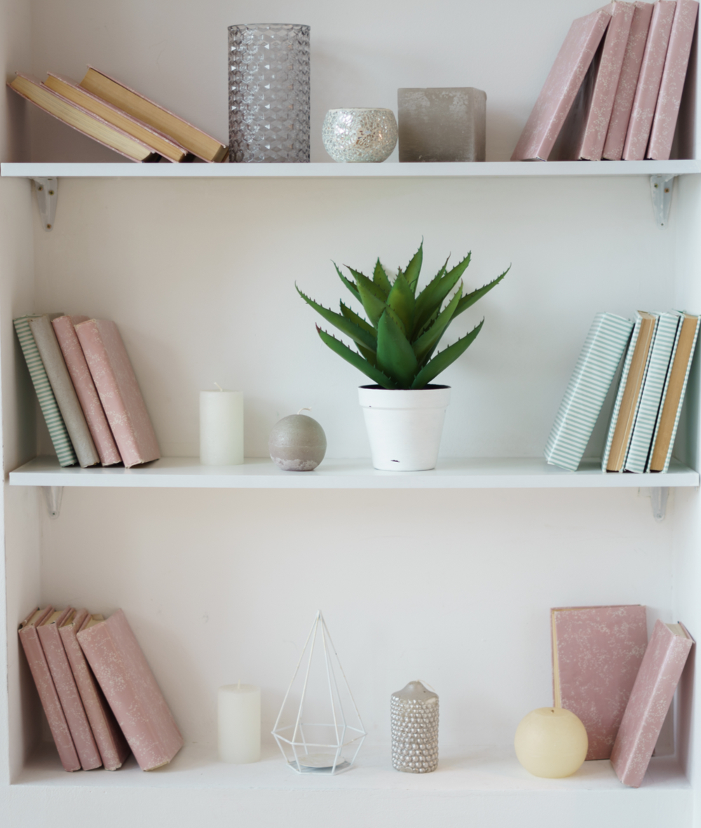 An example of how to organize a bookshelf, with minimal books, a plant, and a couple of other decor pieces.