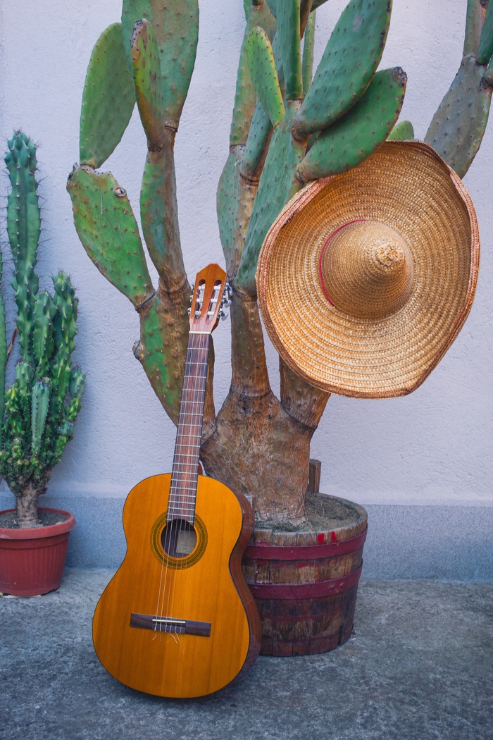 Guitar and sombrero near a cactus. A southwest guitar home decor set up, with an acoustic guitar and sombrero leaning against a cactus.