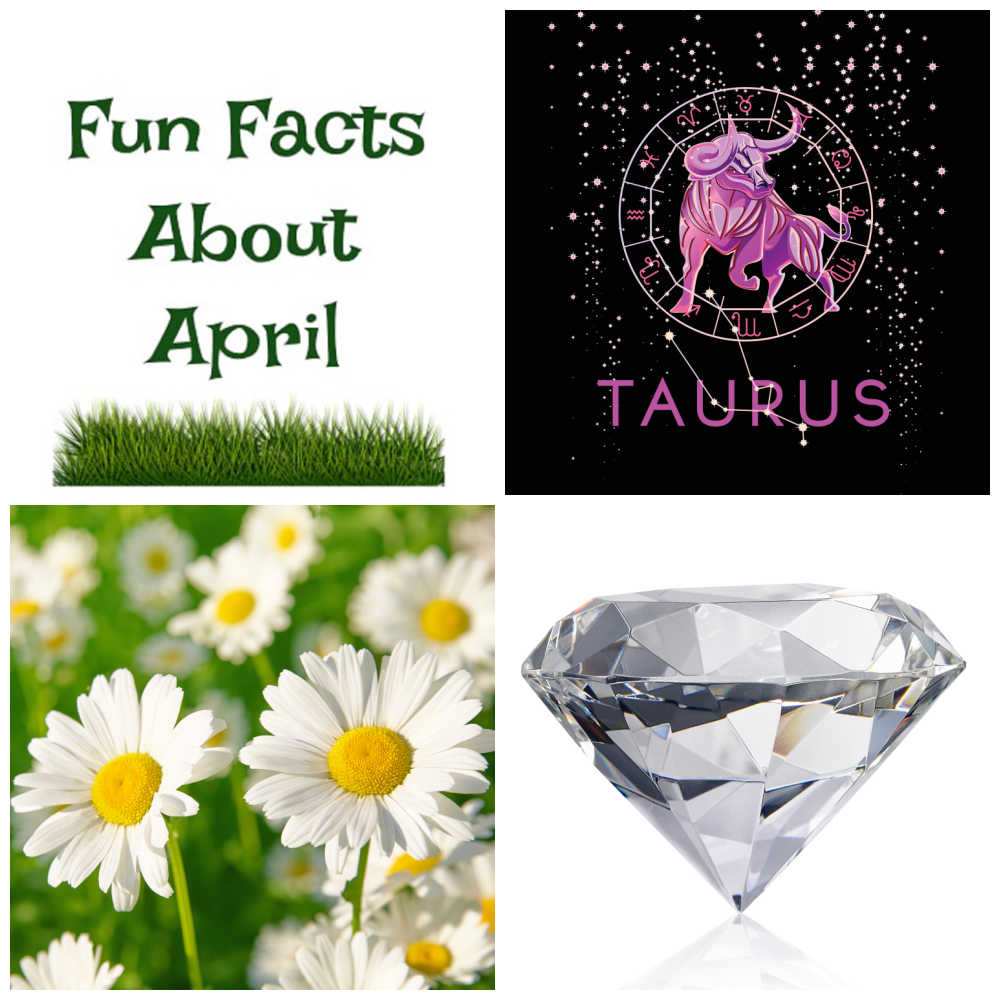 Fun Facts About April Diamond, Taurus bull, daisy flowers in a collage with words Fun facts about April.