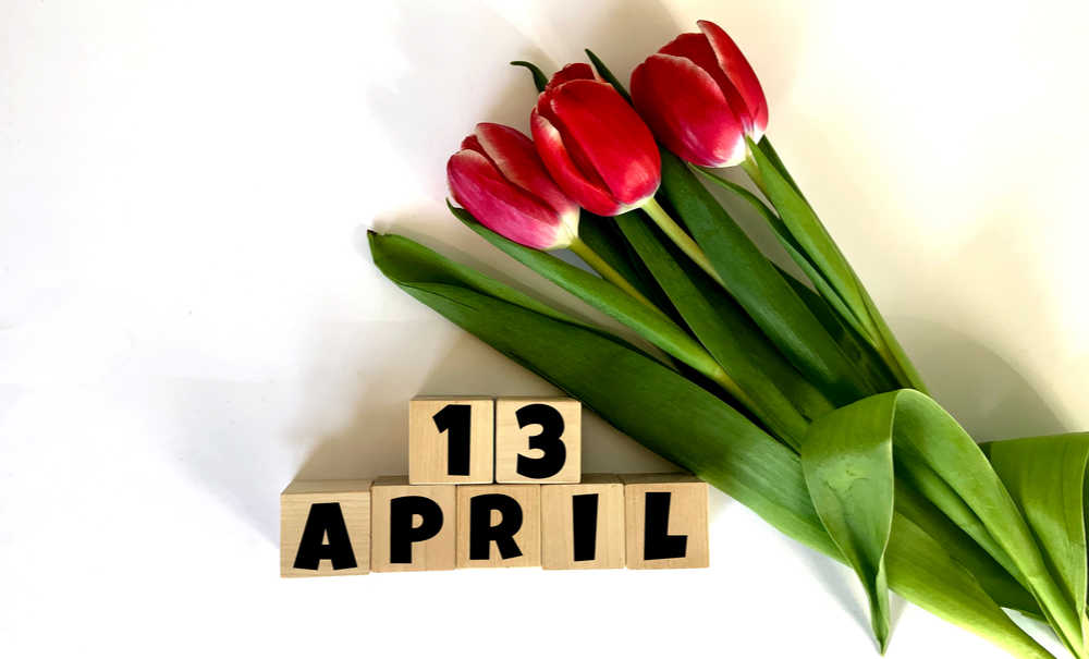 April 13 blocks and a bouquet of tulips. Wooden blocks that read April 13 next to three tulips.