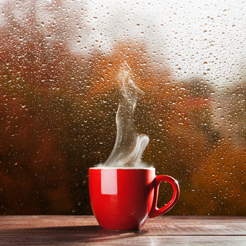 Cup of tea with steam against a window. A red cup of tea producing steam against a rainy window on National British Tea Day.