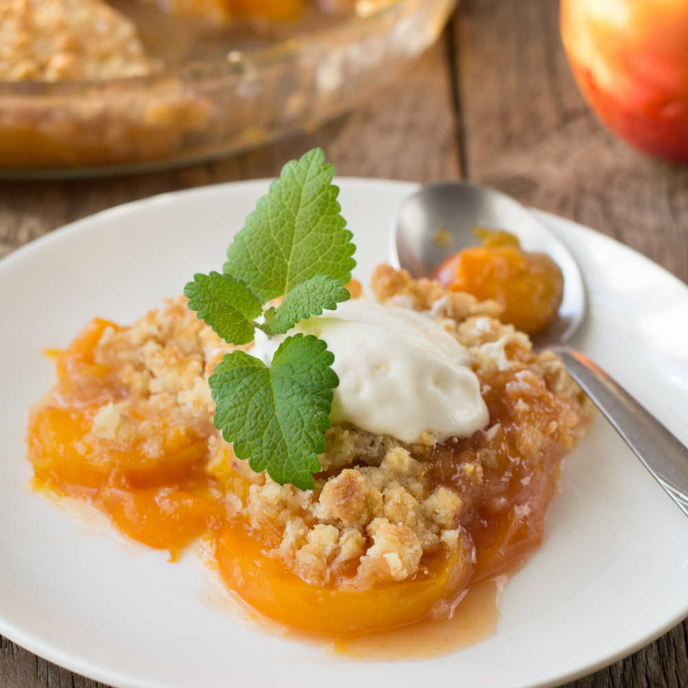 Plate of peach cobbler with mint garnish. A plate of peach cobbler garnished with a sprig of mint and a scoop of ice cream.