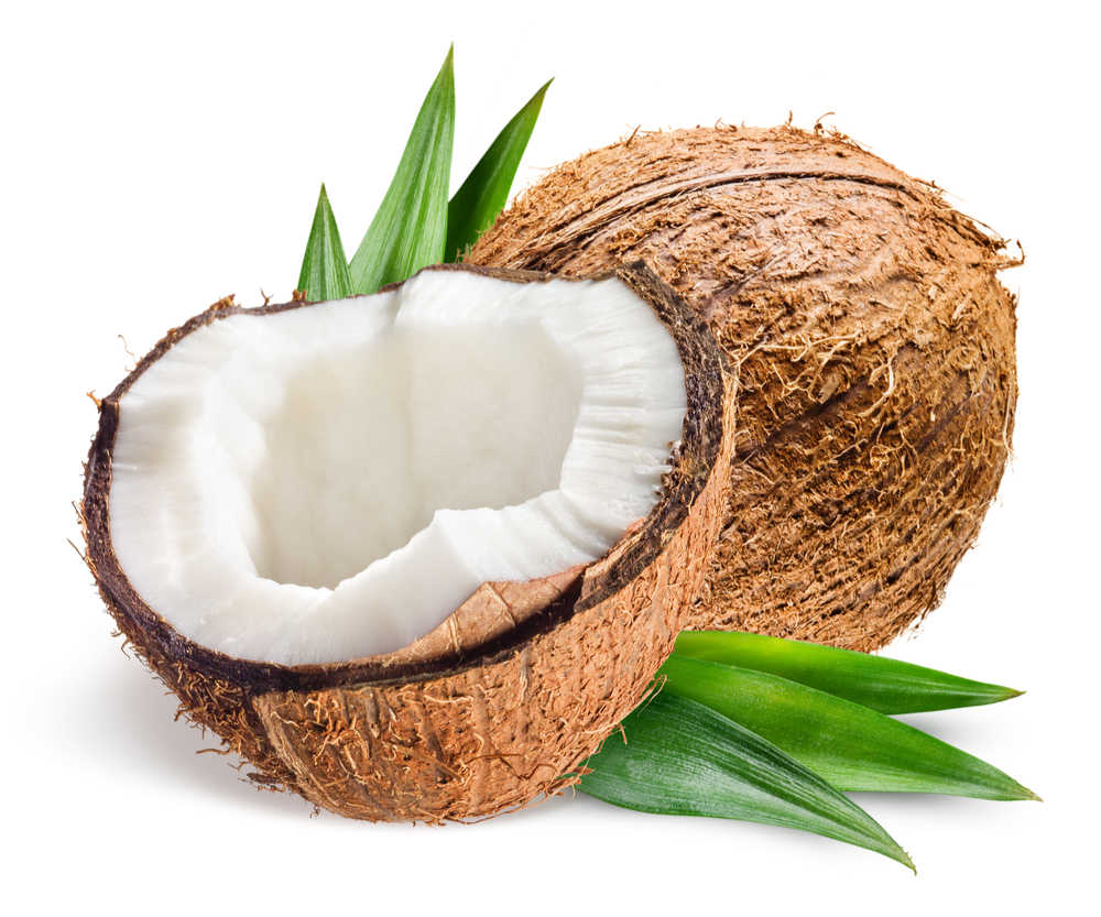 Coconut and coconut half. A coconut cut in half next to a whole coconut and coconut leaves on a white background.
