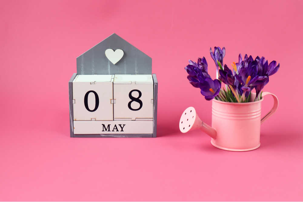 May 8 blocks. Blocks that read May 8 to celebrate the May 8 national days on a pink background next to a pink watering can with purple flowers in it.