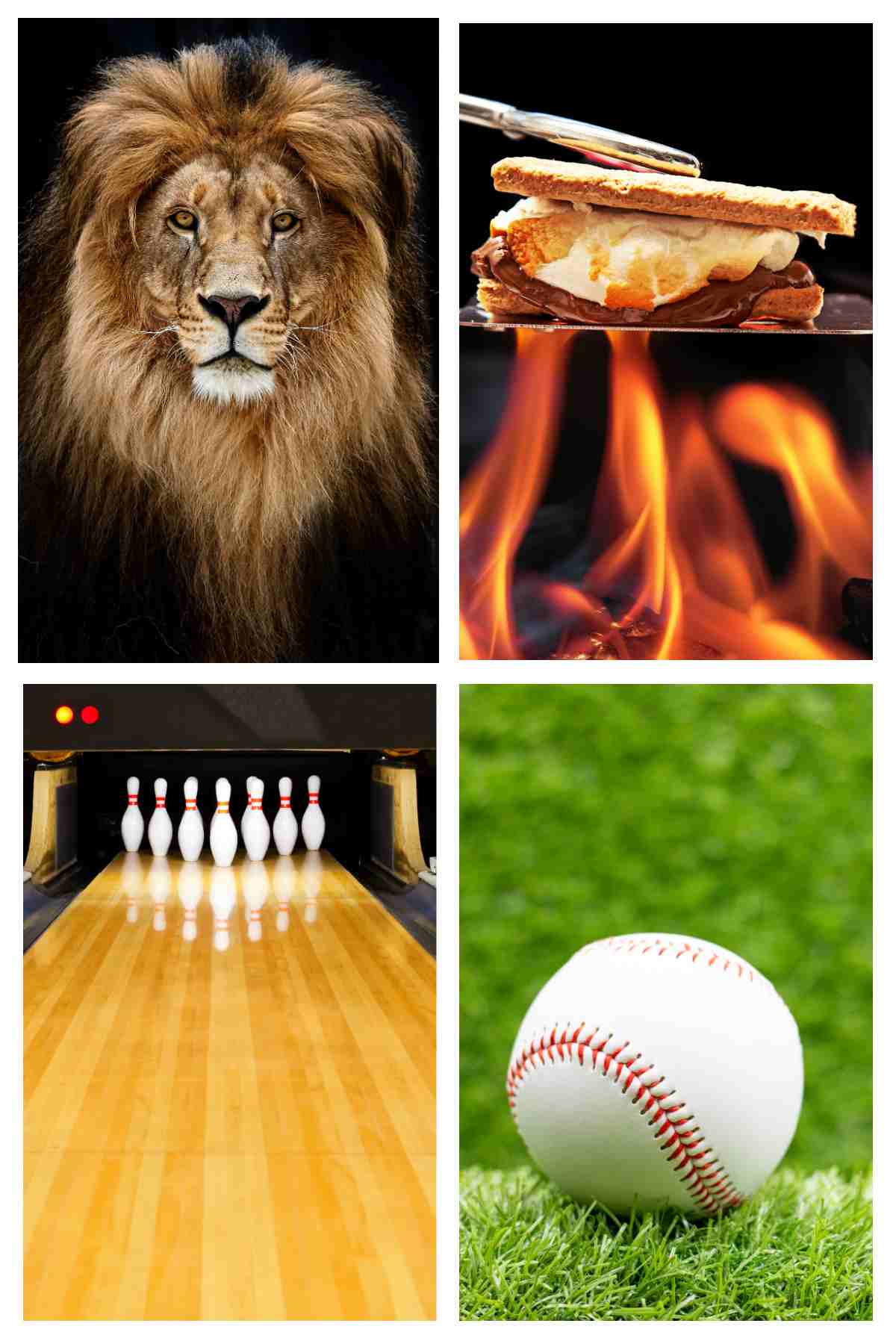A collage of four images representing four of the August national days. From top left to bottom right the images are a lion for World Lion Day, s'mores above a flame for National S'mores Day, a bowling lane with pins set up for National Bowling Day and a baseball sitting in the grass for Baseball Fans Day.