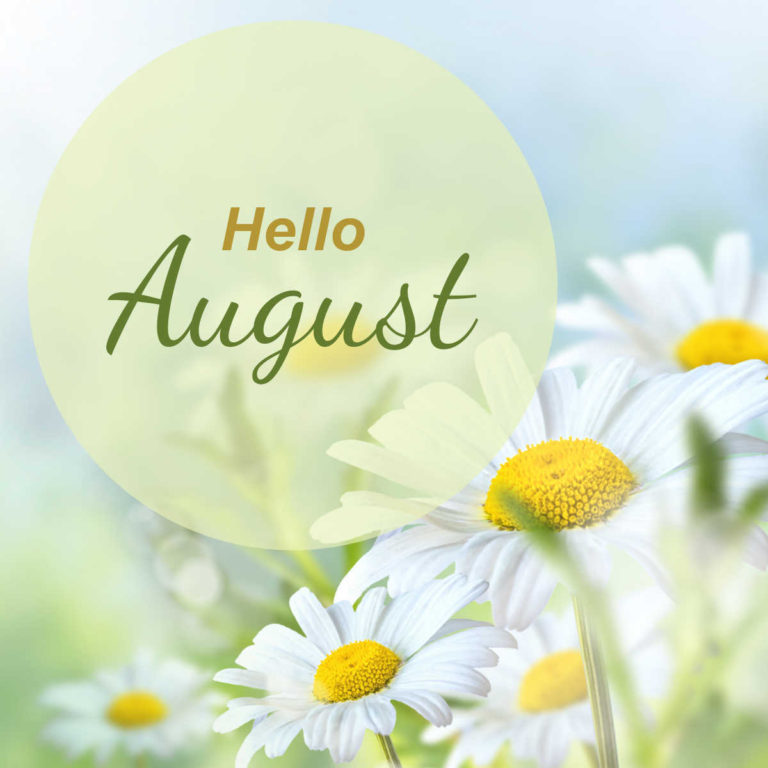 Daisies with words Hello August.