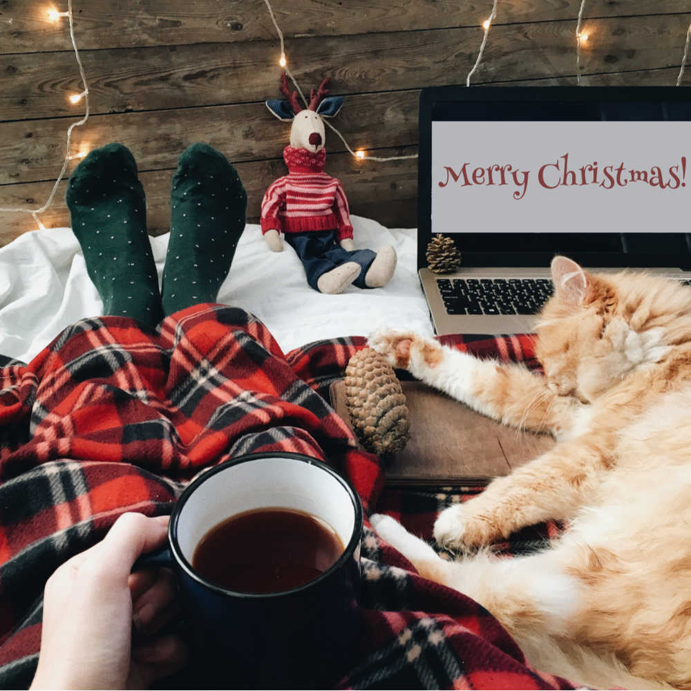 A person wearing plaid holding a cup of coffee while sitting on a bed next to an orange cat watching a laptop screen that reads "Merry Christmas".