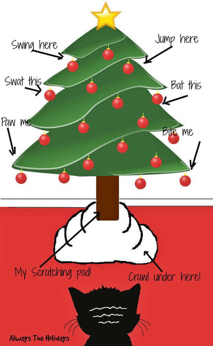 A cartoon cat looking at a Christmas tree thinking about climbing it.