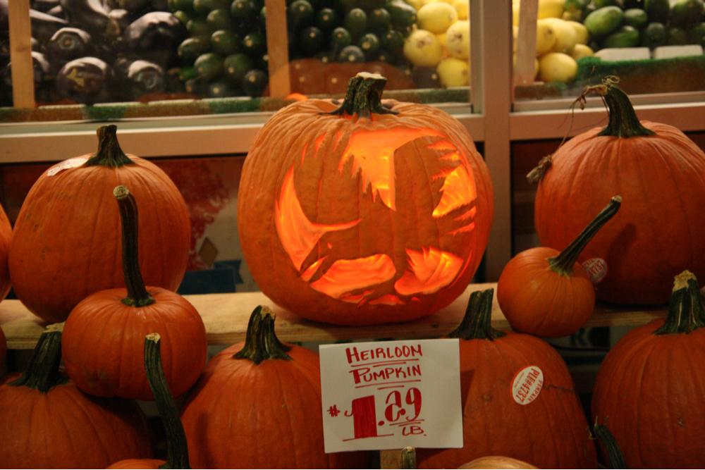 Crow pumpkin. A photo of one of the many animal pumpkin carving ideas for Halloween, this one is a crow and the carved pumpkin is on a shelf next to un-carved pumpkins.