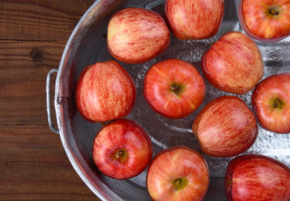 Basin of apples. A silver bucket filled with water and red apples set up for a game of bobbing for apples.