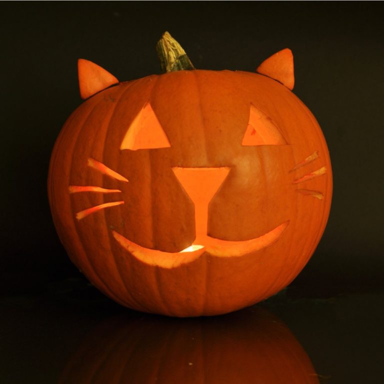 A cat jack o lantern lit up with ears against a plain black backfround.
