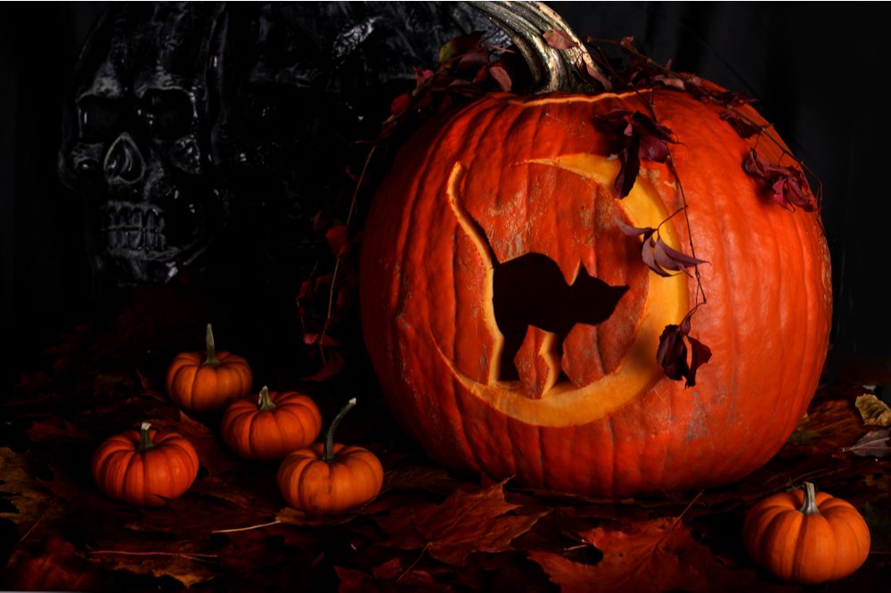 A cat pumpkin carving on a large pumpkin where the cat is standing on the moon - the large pumpkin is surrounded by smaller pumpkins, and there are leaves on the large pumpkin.