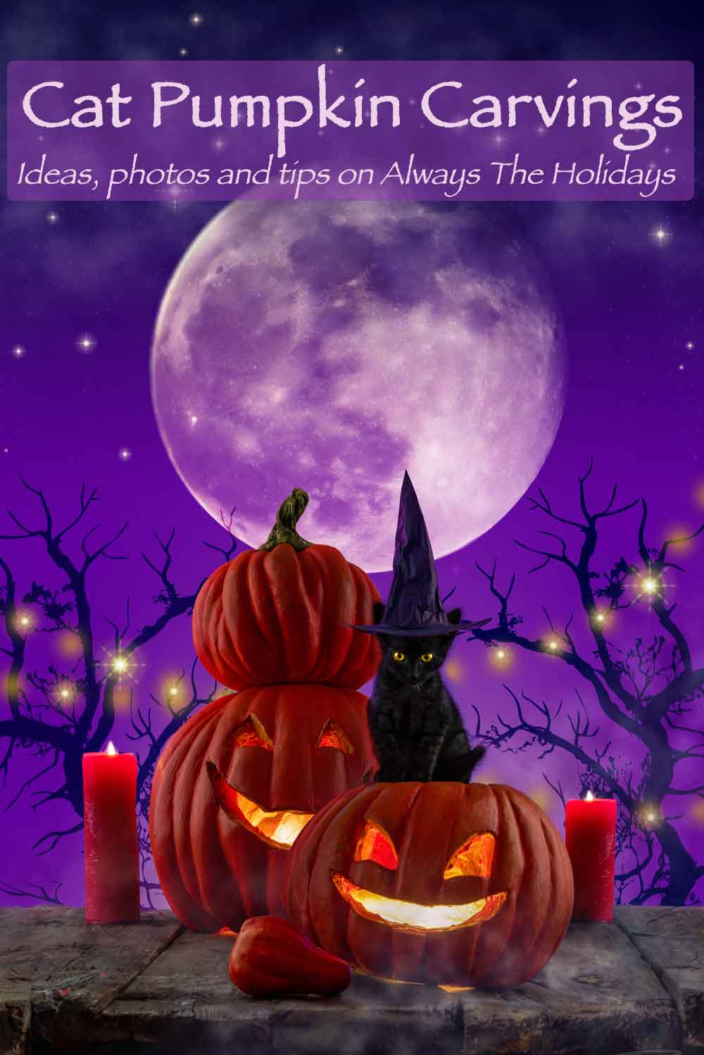 A black cat wearing a witches hat sitting on a carved jack o lantern next to several other pumpkins in front of a purple sky with a moon and a text overlay that reads "cat pumpkin carvings ideas photos and tips on Always the Holidays".
