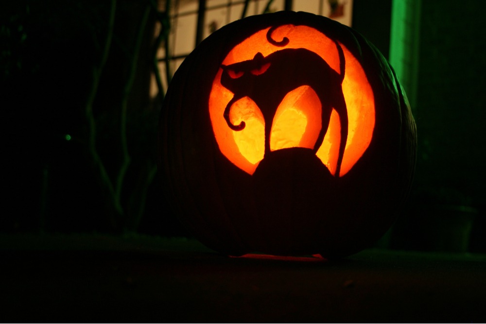 A cat pumpkin carvings of a spooky cat with an arched back and one paw lifted up standing on a small hill.