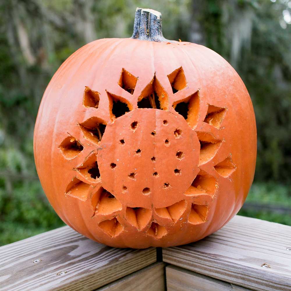Flower pumpkin carving. A flower pumpkin carving that looks like a cartoon sunflower.