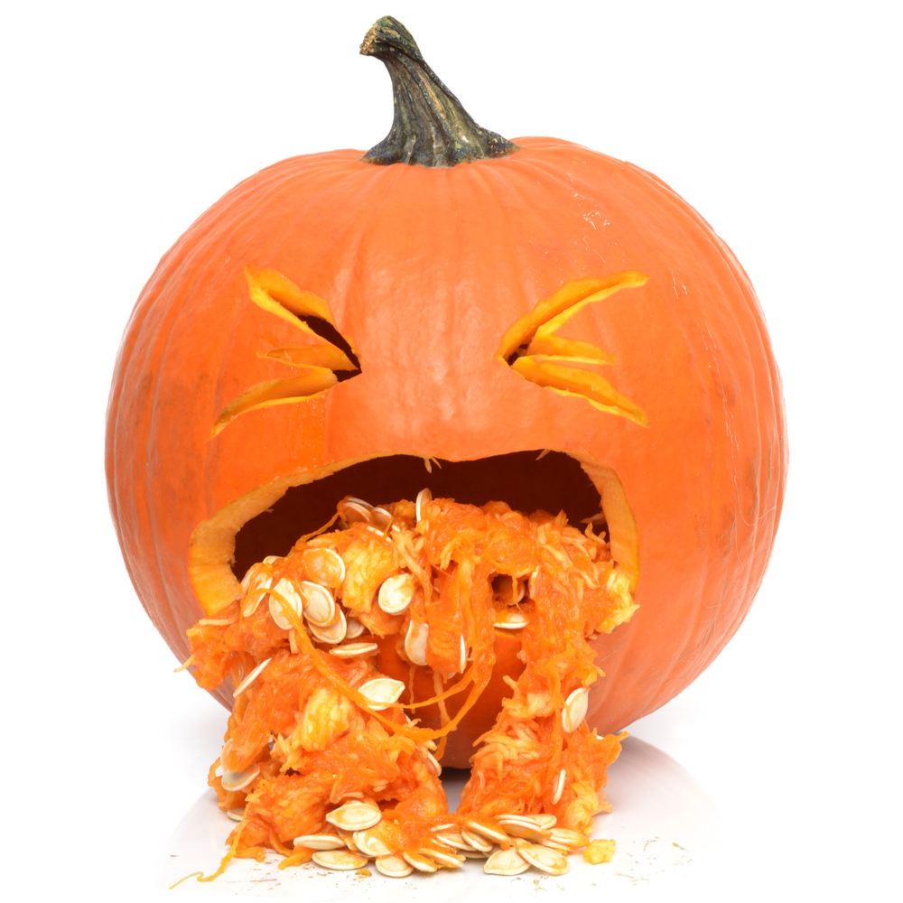 Pumpkin throwing up. A funny jack o lantern throwing up pumpkin seeds.