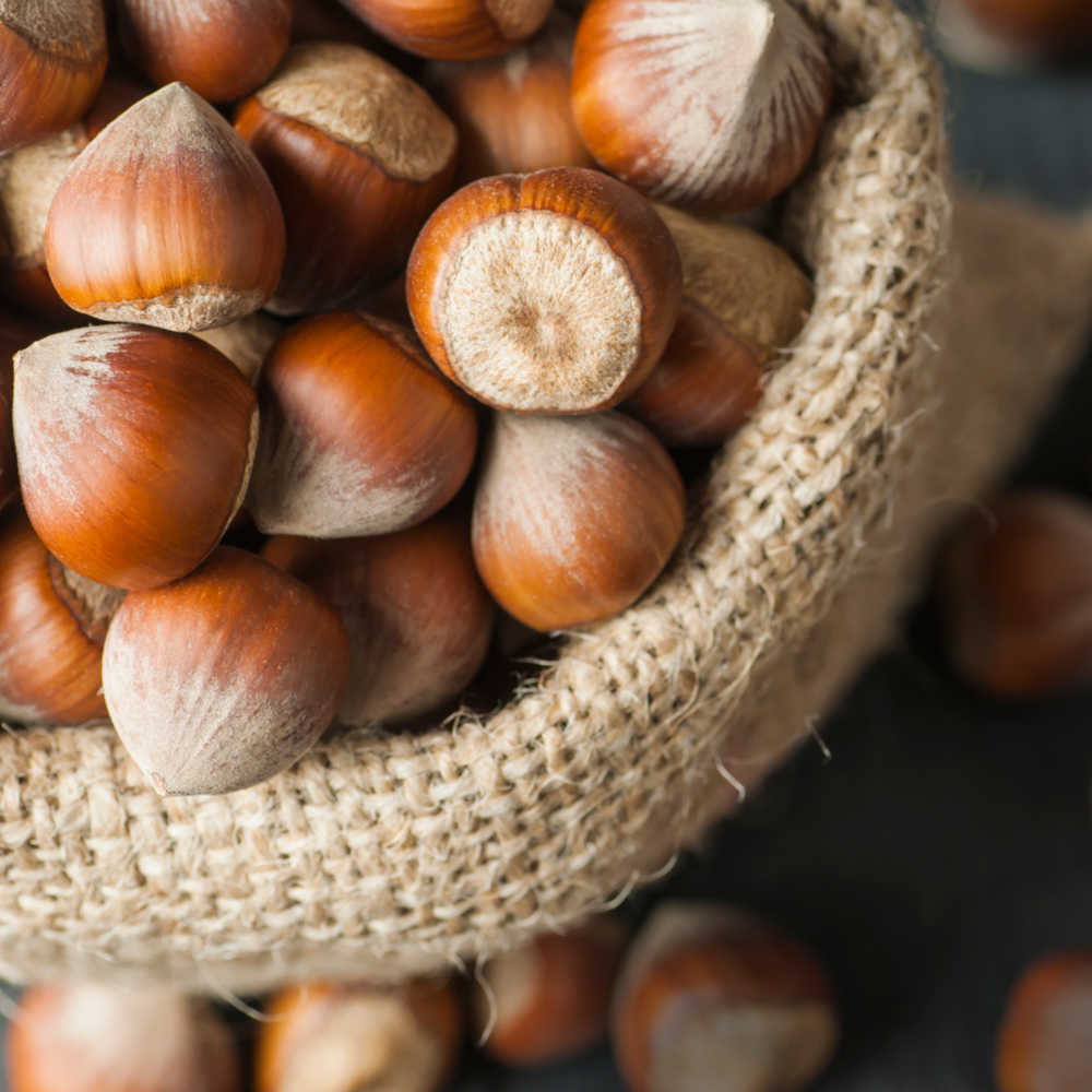 Basket of hazelnuts. A container lined with burlap fabric and filled with hazelnuts.