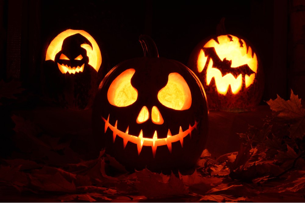 Nightmare Before Christmas pumpkin carvings. Three Nightmare Before Christmas pumpkin carvings, one of Oogie Boogie, one of Jack Skellington and one of a flying bat.