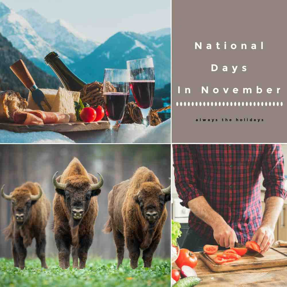 National Days in November Wine scene, buffalo and man cooking with words National Days in November.