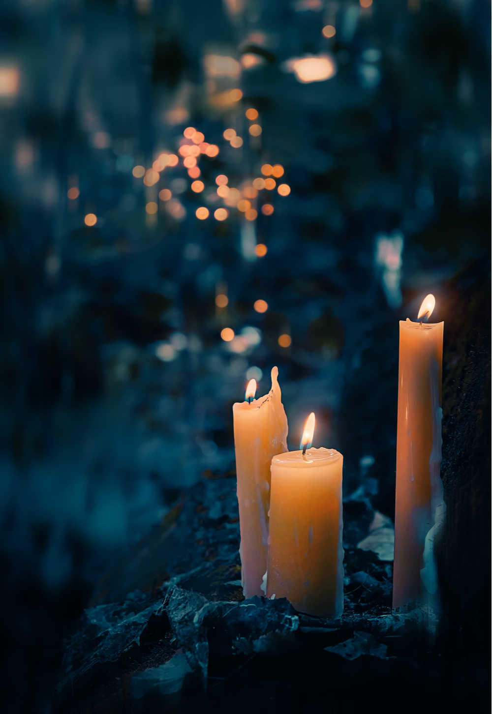 Three candles in the dark forest. Three lit candles in the woods to honor Samhain history.