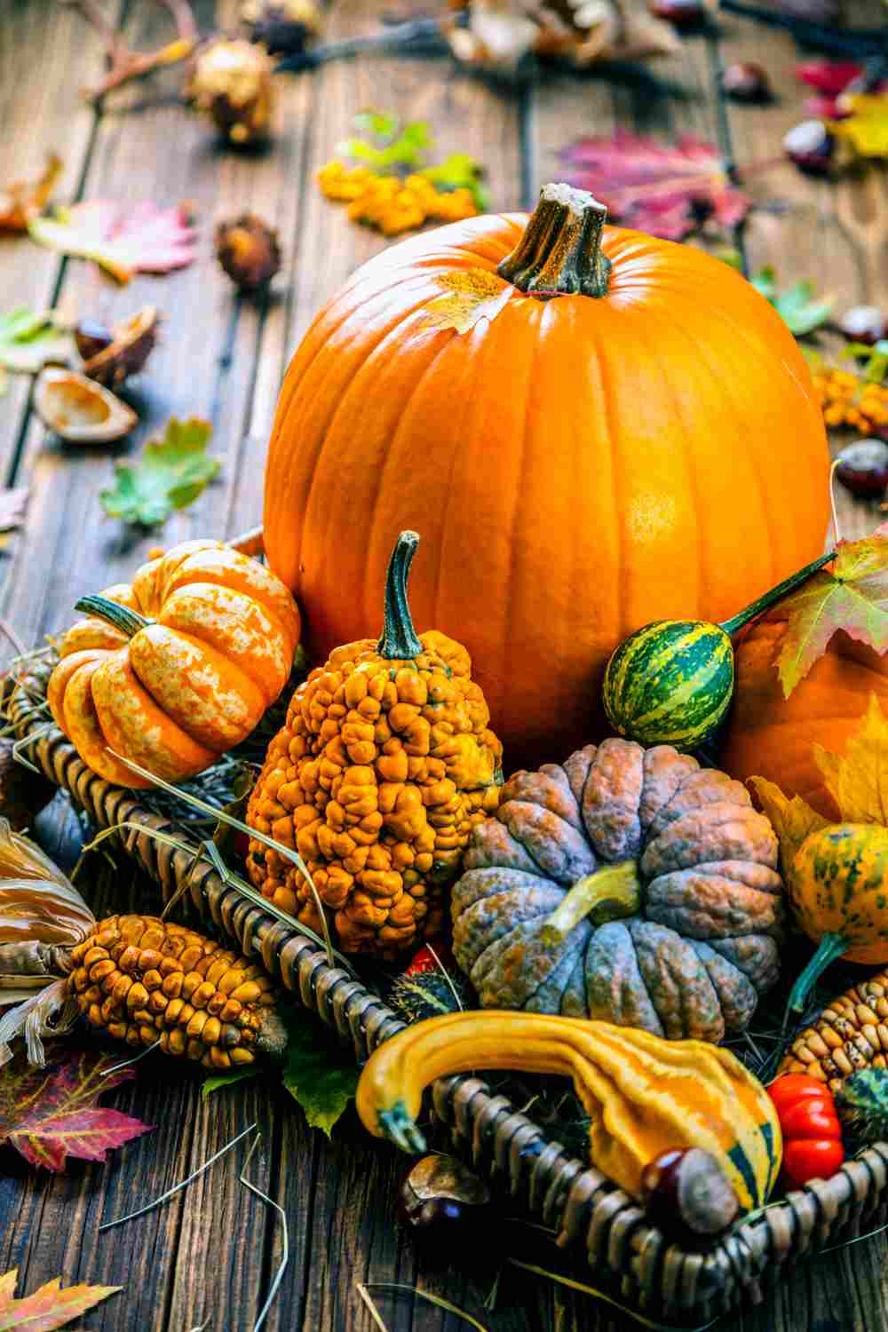 Basket of different types of pumpkins. A basket of the different types and colors of pumpkins.