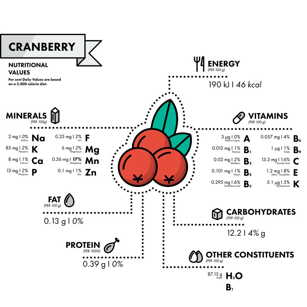 Cranberry nutrition facts. A clipart cranberry with cranberry facts written all around it illustrating the nutritional value of cranberries.